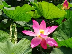 -奥林匹克森林公园南门-停车场