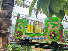 -南宫五洲植物乐园