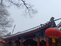 -宣武艺园