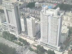 -龙塔