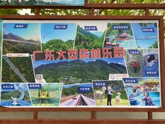 -南丹山森林王国