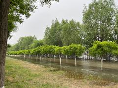 -永定河休闲森林公园