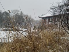 -北京大学-第一体育馆