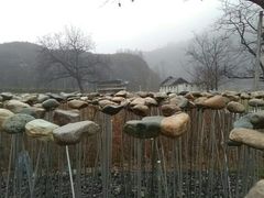 -秦岭风景区