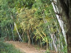 -谷丰健康凤贤居酒家