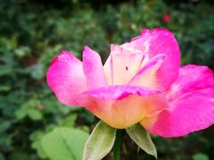 -人民公园(罗湖区)