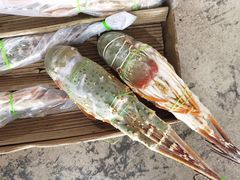 -杭州冷冻食品交易市场