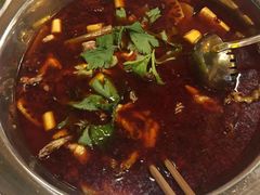 -霸王虾·小龙虾香辣蟹(玉林店)