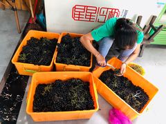 -生态苑农庄(十里画廊遇龙河店)