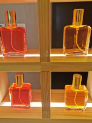 -彩虹之门健康管理