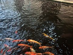 -叙福楼海鲜酒家(季华西路店)