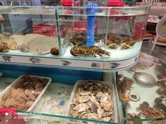 水产区-蓬莱利华酒店(密汾南街店)