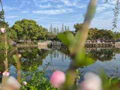-无锡蠡湖国家湿地公园-蠡园