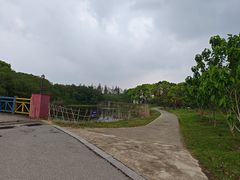 -上海都市菜园