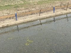 -上海杨姆庄园