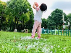 -重庆彩云湖湿地公园