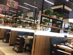 -蜀国传情火锅(大柳塔店)