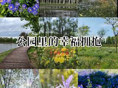 -东郊湿地公园