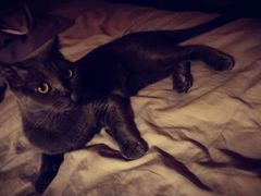 -南京禄口机场雅高铂尔曼大酒店