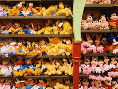 -上海迪士尼度假区