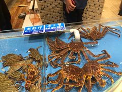 -双井轩(双井店)