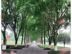 -重庆中央公园(渝北区)