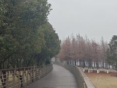 -江滩湿地公园