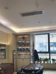 -碧莲盛·不剃发植发