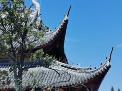 -龙华寺