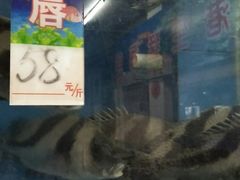 门面-宋船渔栈(白沙店)