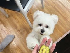 -唐小姐の猫狗洗护·购宠旗舰店(周浦万达店)