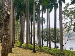 -南宁南湖公园