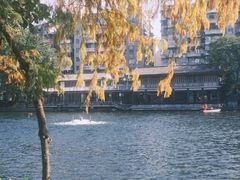 -荔湾湖公园