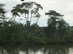 -东寨港红树林旅游区