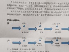 -联合动物医院(光谷诊疗中心)
