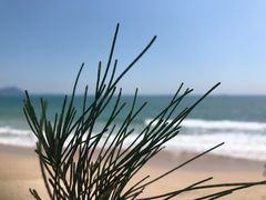 -西涌国际滨海旅游区