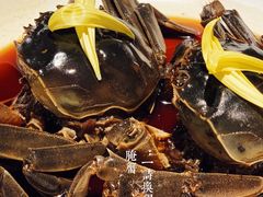 -成隆行·蟹王府(九江路店)