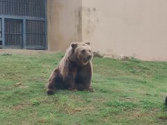 -上方山森林动物世界