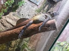 -上海大自然野生昆虫馆(东方明珠·爬宠昆虫探索中心)