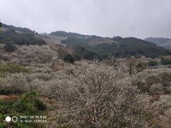 -福建天门山