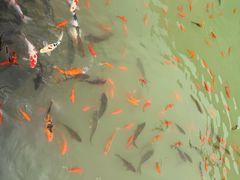 -桑干河大峡谷旅游区