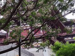 -洛阳周公庙博物馆