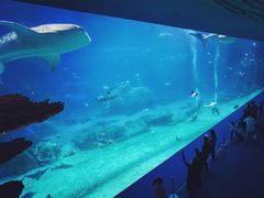 -横琴公社餐厅