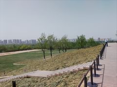 -汉长安城未央宫国家考古遗址公园