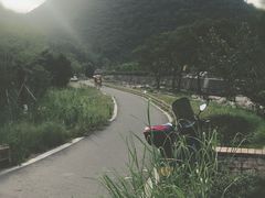 -北仑森林植物园