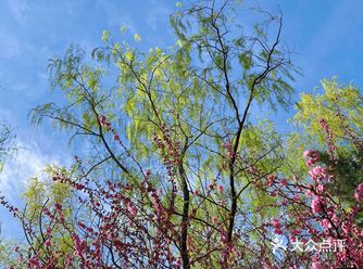 园区很大，记得带水和零食