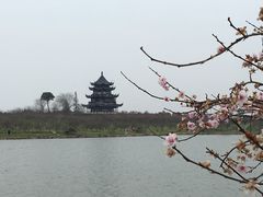 景点-上海海湾国家森林公园