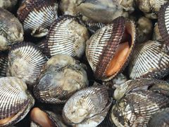 -宾朋海鲜特色美食餐厅·纯手工鲅鱼水饺(兴海路店)