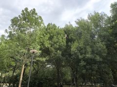-庄怡公园