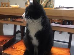 -新疆狼爷烤肉(宋庄店)